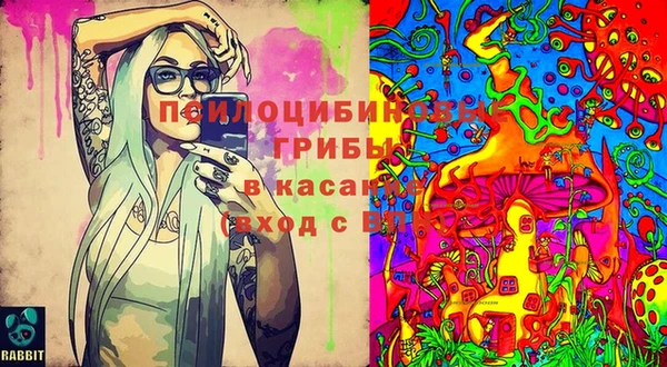 дживик Абинск