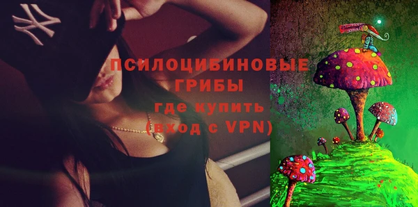 гашик Алексеевка